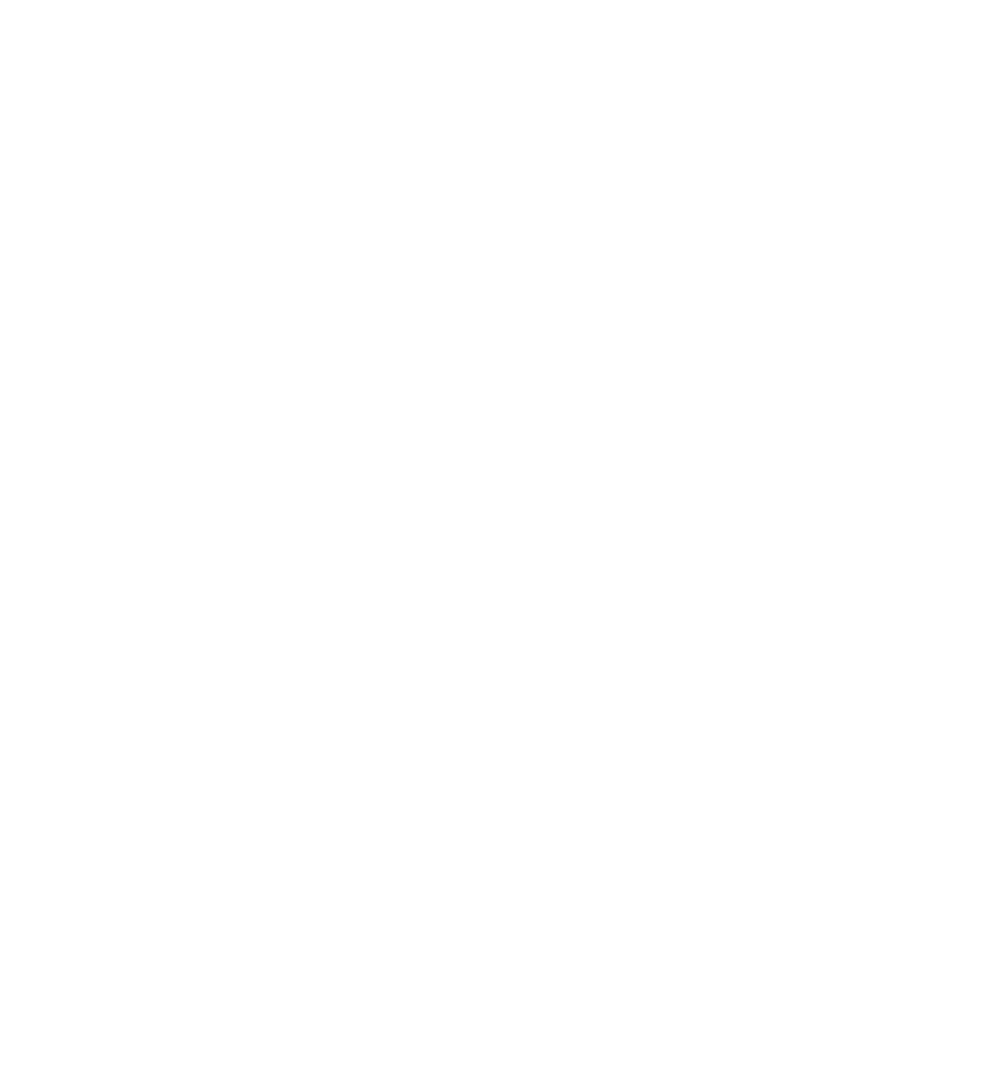 Search Engine Optimizatio