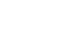 Web Design & Development